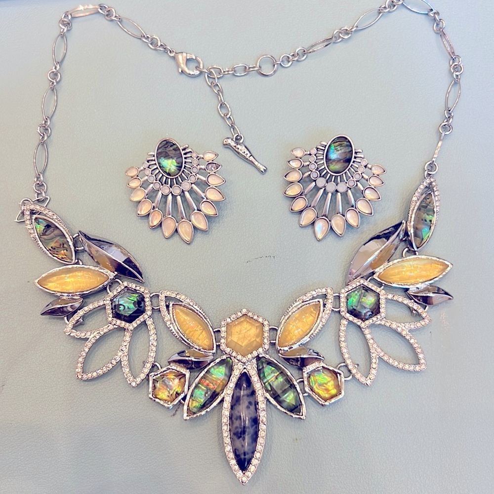 Stunning Chloe and Isabel necklace and earring set!